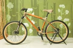 [Bamboo and Organics] Bicicleta Llanta de Bambú